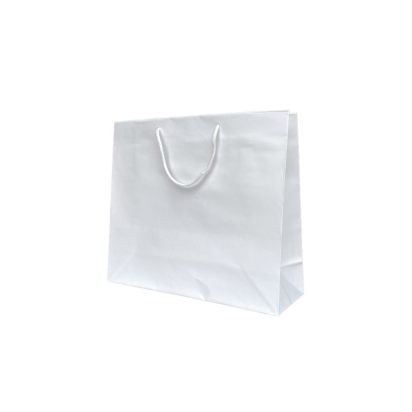 White paper bag handle White cord