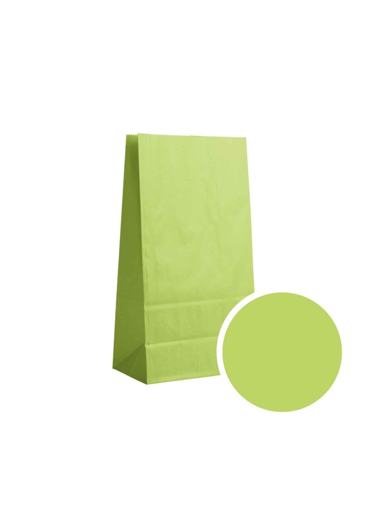 Paper Bag - Apple Green S