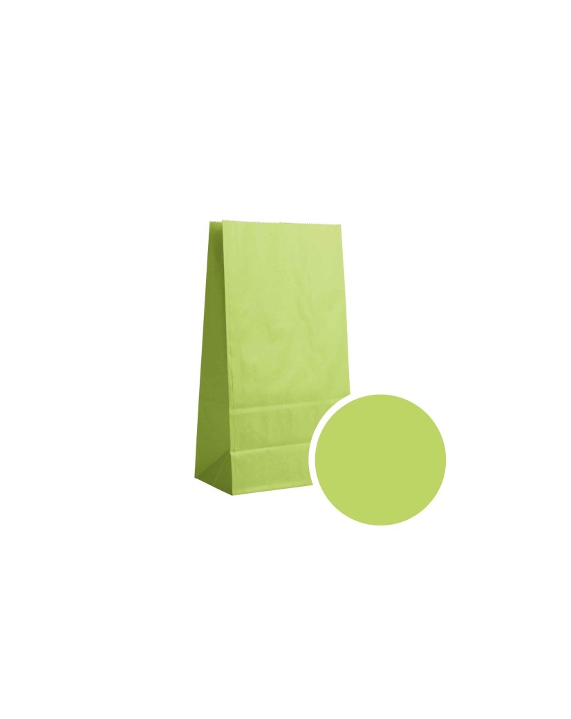 Paper Bag - Apple Green S