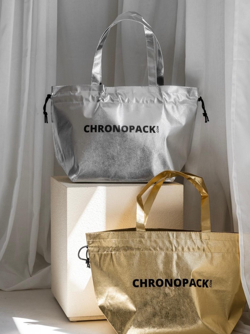 SAC NICE SILVER L (58x24x35cm)