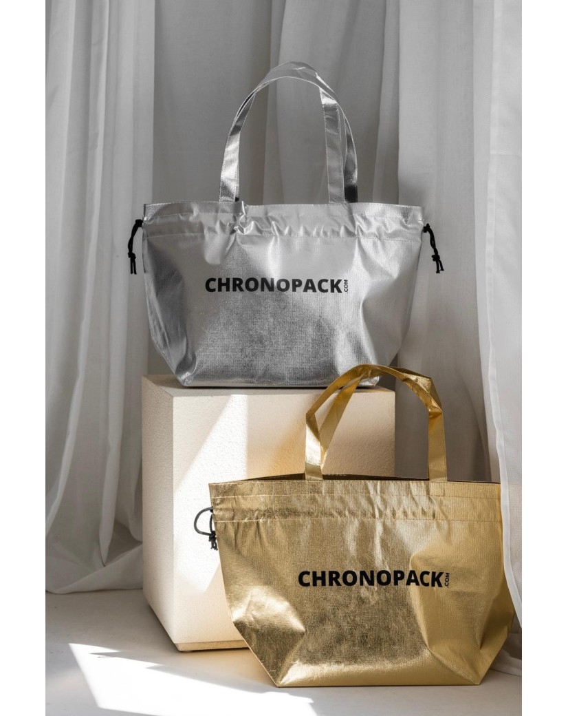 SAC NICE SILVER L (58x24x35cm)