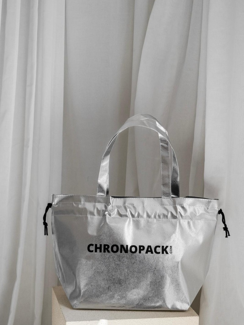 SAC NICE SILVER - M (40x14x30cm)