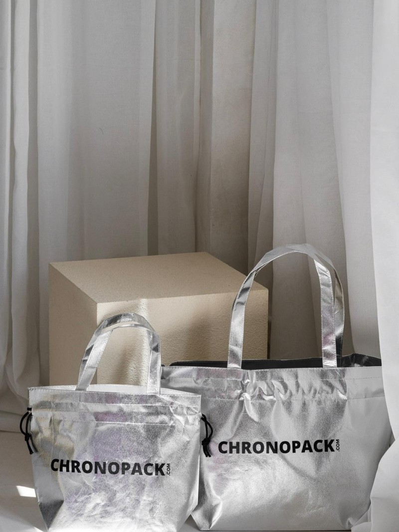 SAC NICE SILVER - M (40x14x30cm)