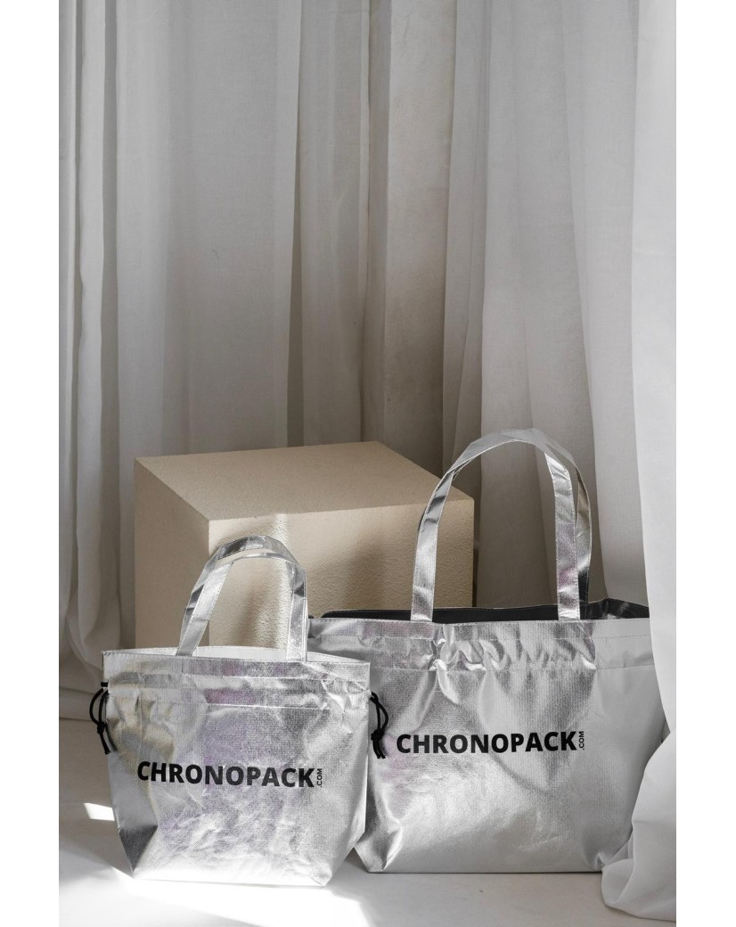 SAC NICE SILVER - M (40x14x30cm)