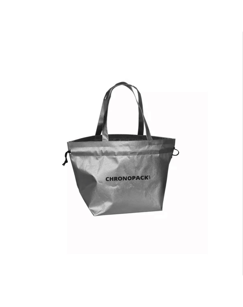 SAC NICE SILVER - M (40x14x30cm)